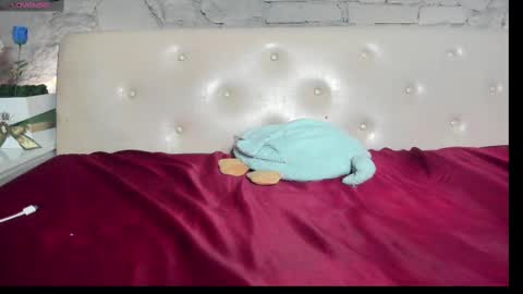 ANA online show from March 2025 02:32:02 PM