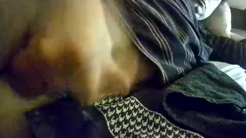 Snapshot of vleeslollie2024 chatting on January 2025 07:21:02 AM vleeslollie2024 online show from January 2025 07:21:02 AM