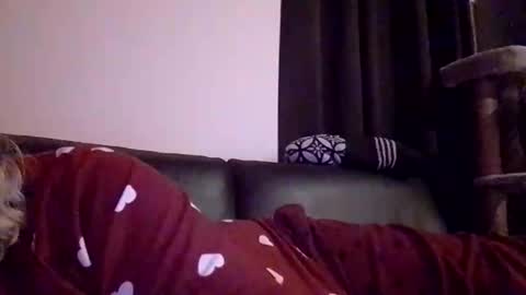 voetbal30 online show from January 2026 02:37:01 AM