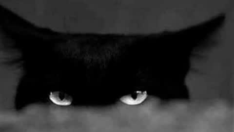 Gabriela online show from April 2026 10:01:02 PM