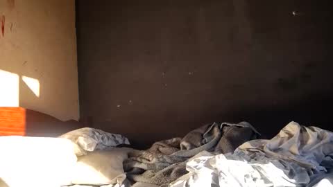 vulgorobson6 online show from April 2026 07:29:02 PM