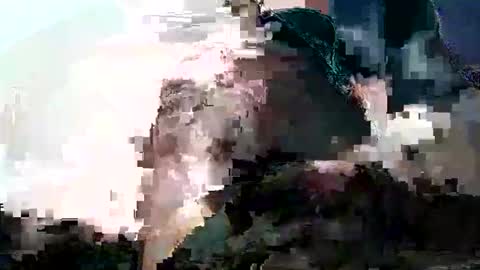 vuran69169 online show from March 2026 09:55:01 PM