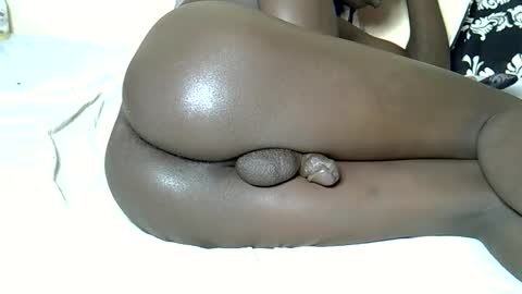 wak5462936 online show from March 2026 12:53:02 PM