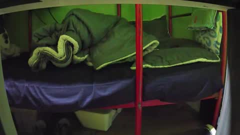 Kentaro online show from March 2026 05:01:02 AM