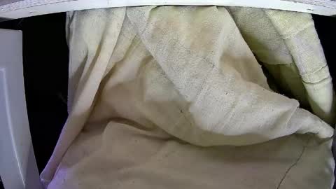 Kentaro online show from April 2026 04:48:02 AM