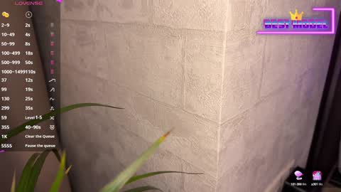 Snapshot of walt_enjoy chatting on February 2025 08:26:02 PM Walt Enjoy online show from February 2025 08:26:02 PM