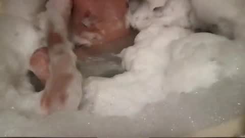 wankster101 online show from April 2026 02:58:02 AM