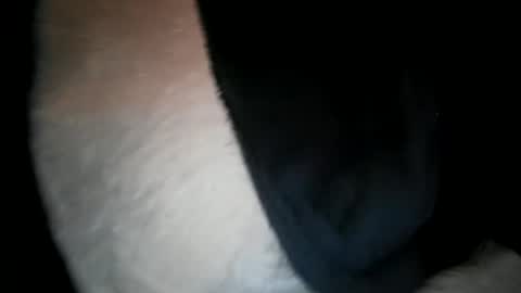 wantobone2 online show from February 2026 11:14:02 AM