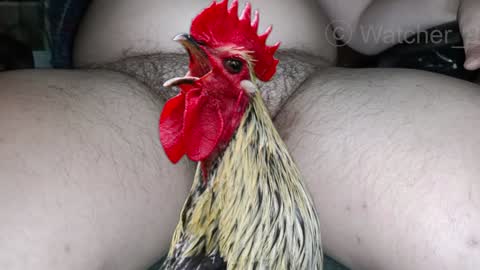 Snapshot of watcher_9 chatting on December 2024 08:15:01 PM classified online show from December 2024 08:15:01 PM