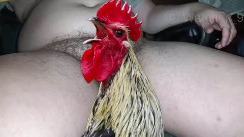 Snapshot of watcher_9 chatting on December 2024 11:33:02 PM classified online show from December 2024 11:33:02 PM