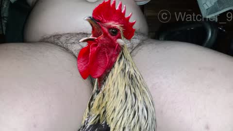 Snapshot of watcher_9 chatting on December 2024 08:50:01 PM classified online show from December 2024 08:50:01 PM