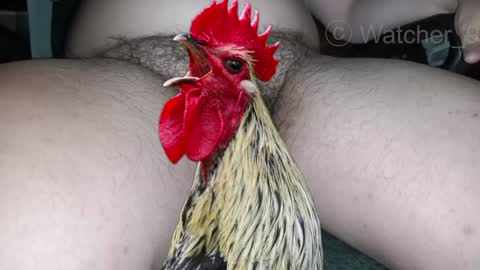 Snapshot of watcher_9 chatting on December 2024 01:34:02 AM classified online show from December 2024 01:34:02 AM