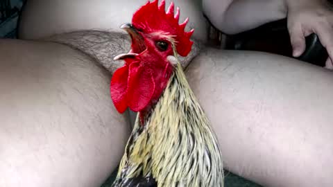 Snapshot of watcher_9 chatting on October 2025 07:34:02 PM classified online show from October 2025 07:34:02 PM