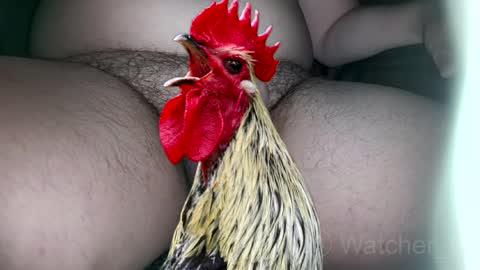 Snapshot of watcher_9 chatting on October 2025 08:17:02 PM classified online show from October 2025 08:17:02 PM