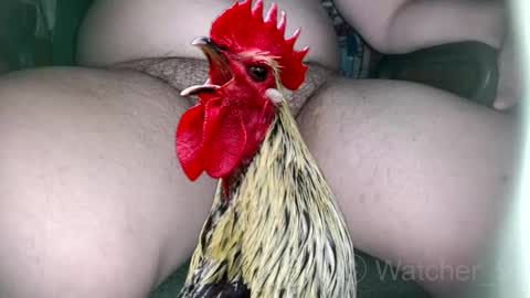 Snapshot of watcher_9 chatting on November 2025 08:29:01 PM classified online show from November 2025 08:29:01 PM