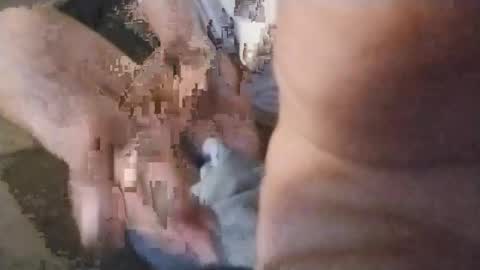 watchmespun online show from November 2025 10:43:01 PM