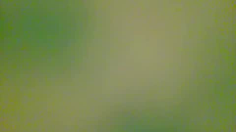 watchplaycum online show from October 2025 11:24:02 PM