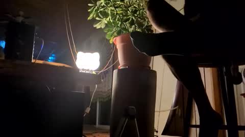 watershed111111 online show from January 2026 09:03:02 AM