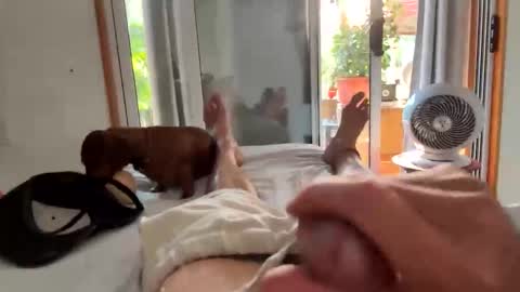 watershed111111 online show from February 2026 11:08:01 PM