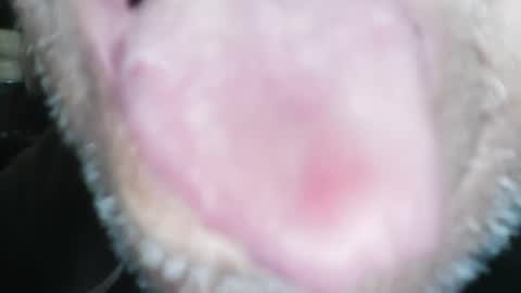 wayne1311 online show from January 2025 04:26:01 PM