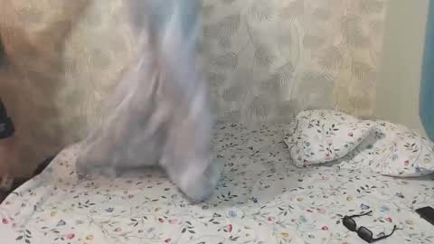 Lia and Artur online show from December 2025 09:28:02 AM