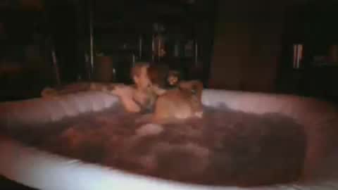webefuckin91224 online show from July 2026 04:47:01 AM