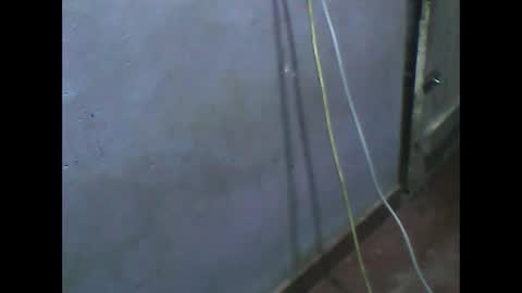 wela123456 online show from November 2025 01:02:01 PM