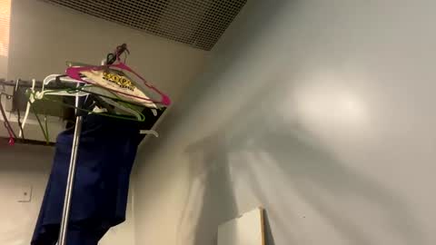 well_ndowed online show from January 2025 07:40:01 PM