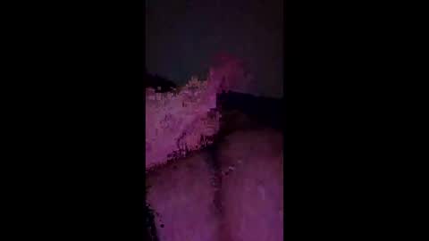 weswes43 online show from March 2026 10:47:02 PM