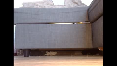 wet_pants2022 online show from February 2025 04:43:02 PM