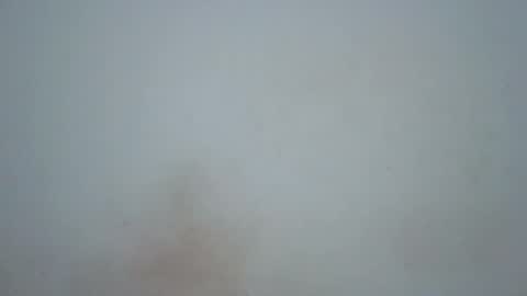 wet_pussieyy online show from February 2026 09:21:01 PM