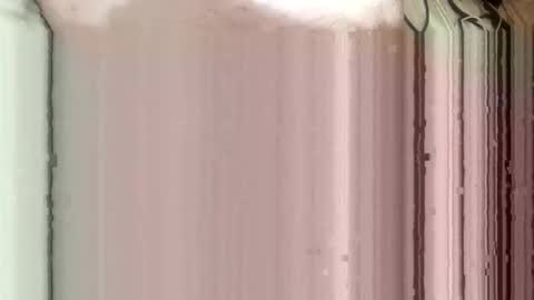 whispereddy online show from March 2026 11:03:01 AM