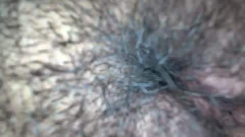 Snapshot of white_sexy_ chatting on September 2025 11:34:02 AM white_sexy_ online show from September 2025 11:34:02 AM