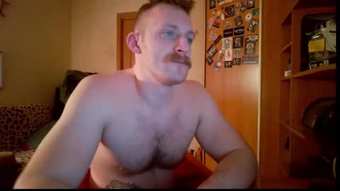 WhiteBull online show from February 2026 06:11:02 PM