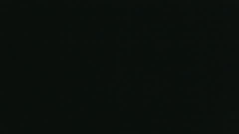 whitehead_lion online show from October 2025 05:52:01 PM