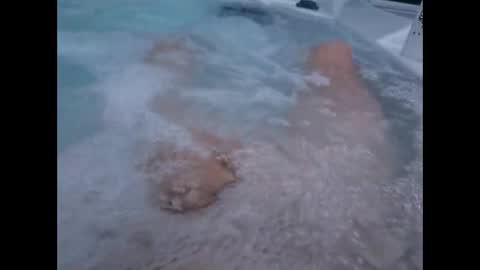 whiteoak19522 online show from April 2026 09:56:02 AM