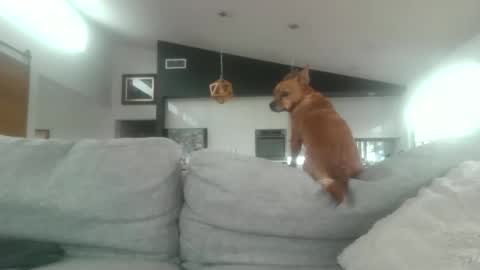 Snapshot of whitepantieman chatting on January 2025 10:12:02 PM whitepantieman online show from January 2025 10:12:02 PM