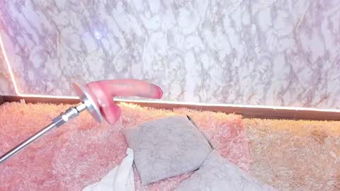 whitneyyfox online show from February 2025 01:41:01 AM