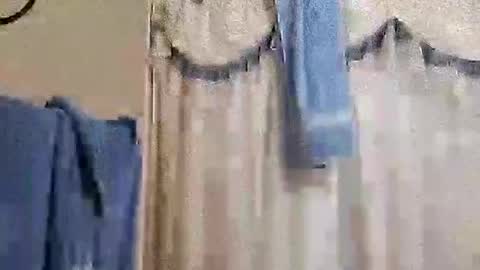 whodunnitwrangler online show from November 2025 02:12:02 AM