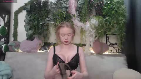 wiagra online show from October 2025 08:55:02 AM