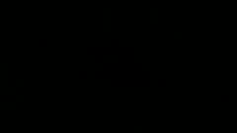 wild lemont online show from February 2026 11:58:02 PM