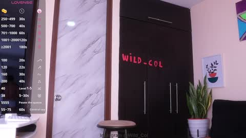 wild_col online show from December 2024 12:33:01 PM
