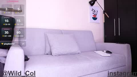 wild_col online show from September 2025 11:28:01 PM