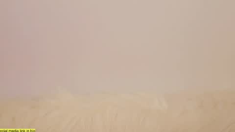 wild_schoolgirl online show from January 2025 10:24:01 PM