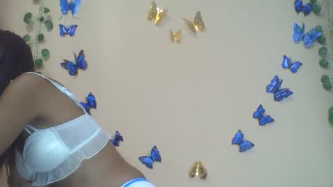 wildah online show from May 2026 12:10:02 PM