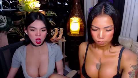 wildara online show from November 2025 11:27:01 PM