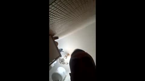 the alpha man online show from March 2026 02:04:02 AM