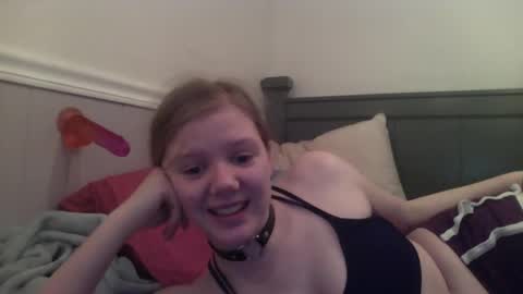 wildflowerofco online show from January 2025 10:50:01 PM