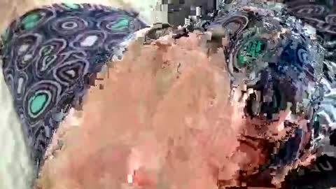Wildhon online show from January 2025 09:30:02 PM