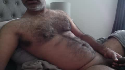 wildhungry online show from September 2025 04:22:02 PM